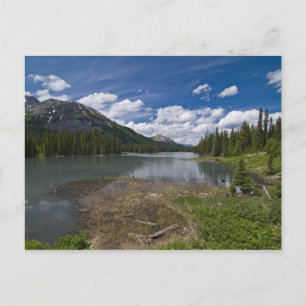 Mud Lake Postcard