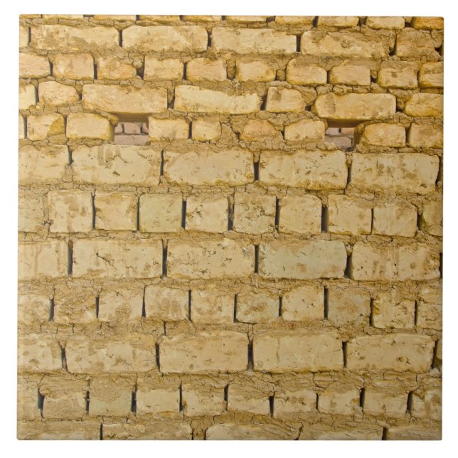 Muddy brick wall tile (Front)