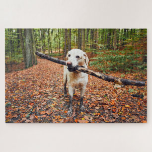 Muddy Dog In Autumn Nature Jigsaw Puzzle