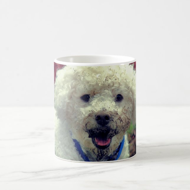 Muddy Faced Poodle Funny Dog Personalised Coffee Mug (Center)