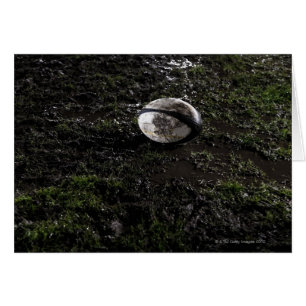 Muddy rugby ball sitting on a chewed up grass