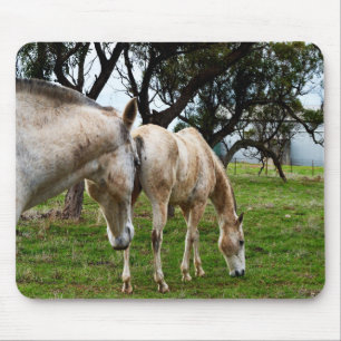 Muddy White Horses, Mouse Pad