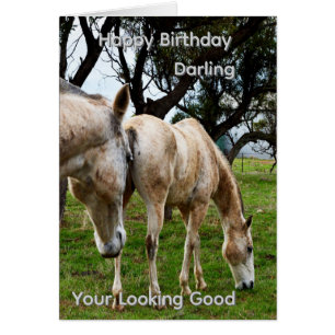 Muddy White Horses, Parner Birthday Card