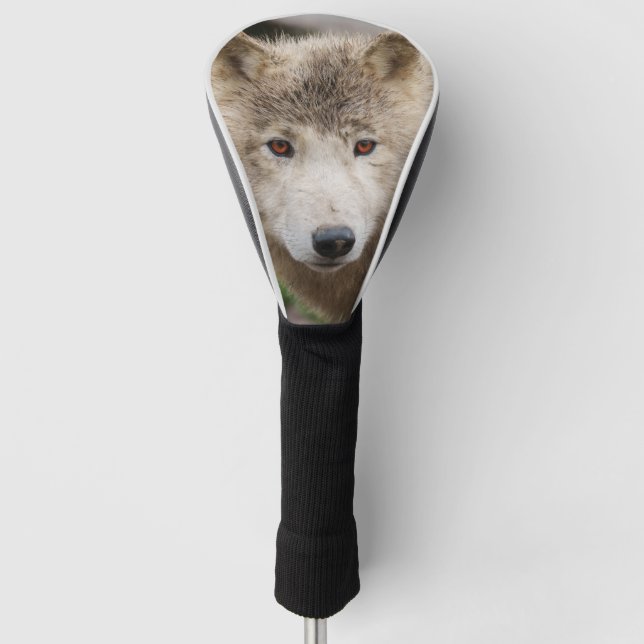 Muddy White Wolf Golf Head Cover (Front)