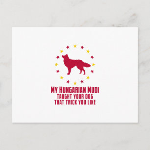 Mudi Postcard