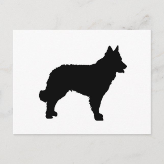 mudi silhouette postcard (Front)