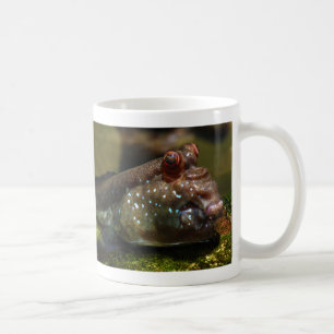 Mudskipper Amphibious Fish Oxudercinae Coffee Mug