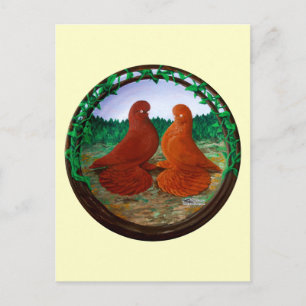 Muffed Tumbler Pigeons2 Postcard
