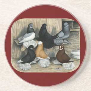 Muffed Tumbler Pigeons Coaster