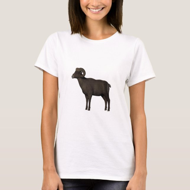 Muffel T-Shirt (Front)