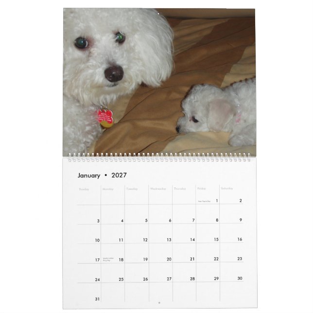 Muffie and Snowie 2008 Calendar (Jan 2027)