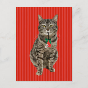 "Muffin Digs Christmas" Holiday Postcard