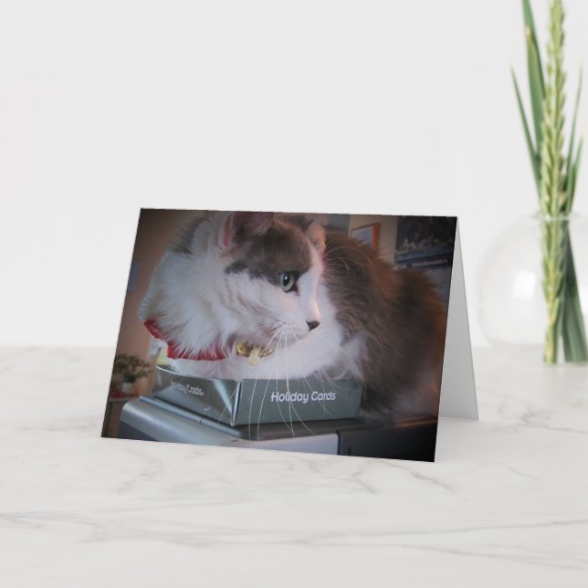 Muffin's Literal  holiday card (Front)