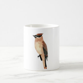 Mug Cedar Waxwing