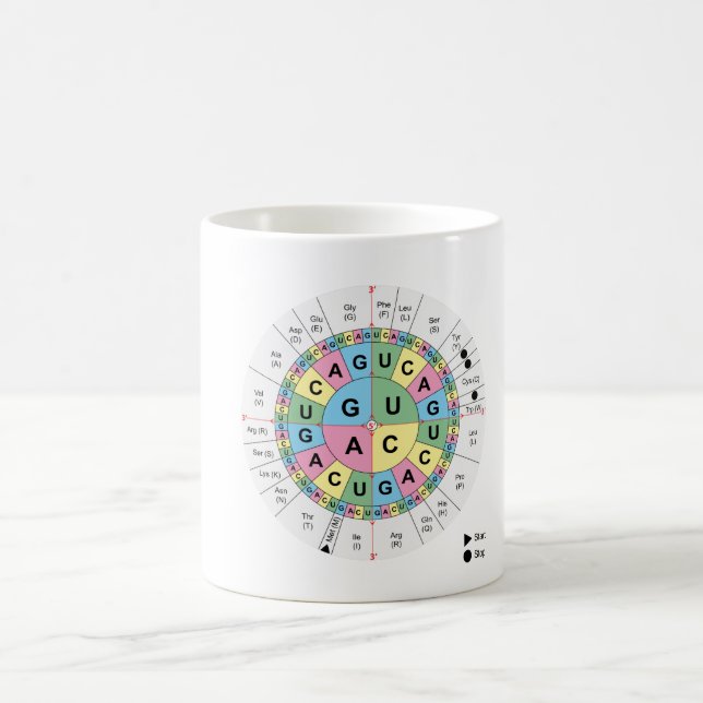 MUG Codons Amino Acids Table Genetic Code DNA (Center)