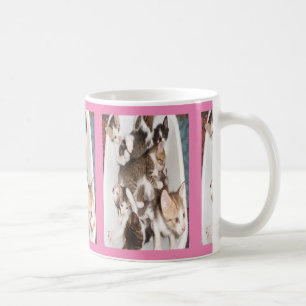 Mug cute kittens on pink backdrop