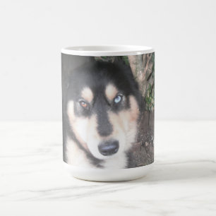 Mug Husky One Blue Eye One Brown Eye