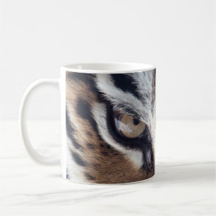 mug in the eyes of Amur Tora