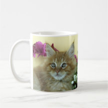 Mug Maine Coon kitten