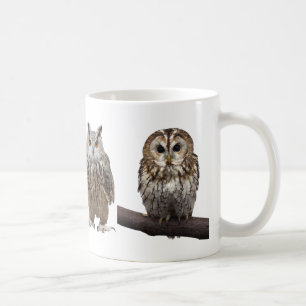 MUG OF OWL