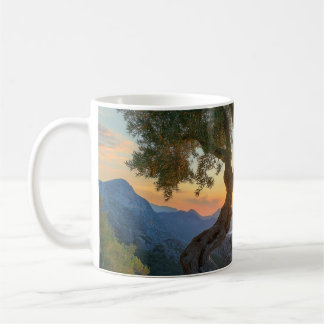 Mug, olive tree ,sunset, overlooking sea. coffee mug