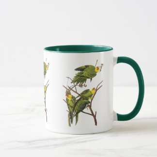 Mug: Parakeet - by John Audubon Mug