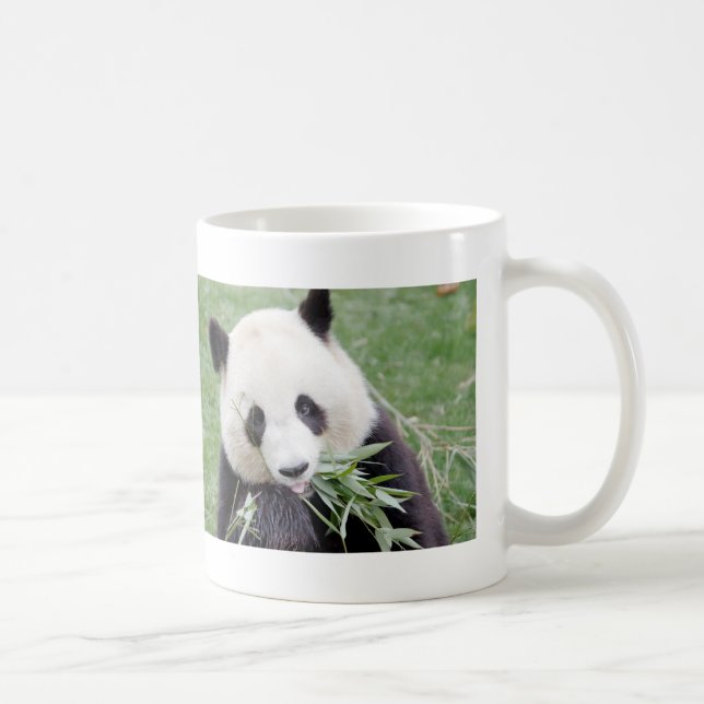 Mug Photo giant panda , animals 0267. (Right)