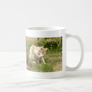 Mug. photo street cat , cat. coffee mug