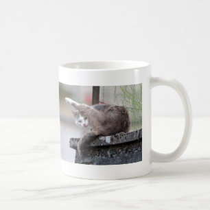 Mug. photo street cat , cat. coffee mug