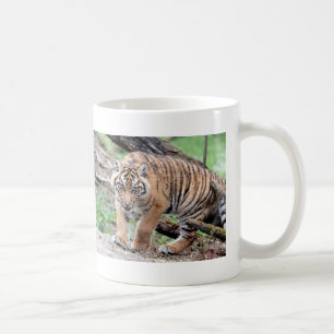 Mug. photo tiger , cat.  coffee mug