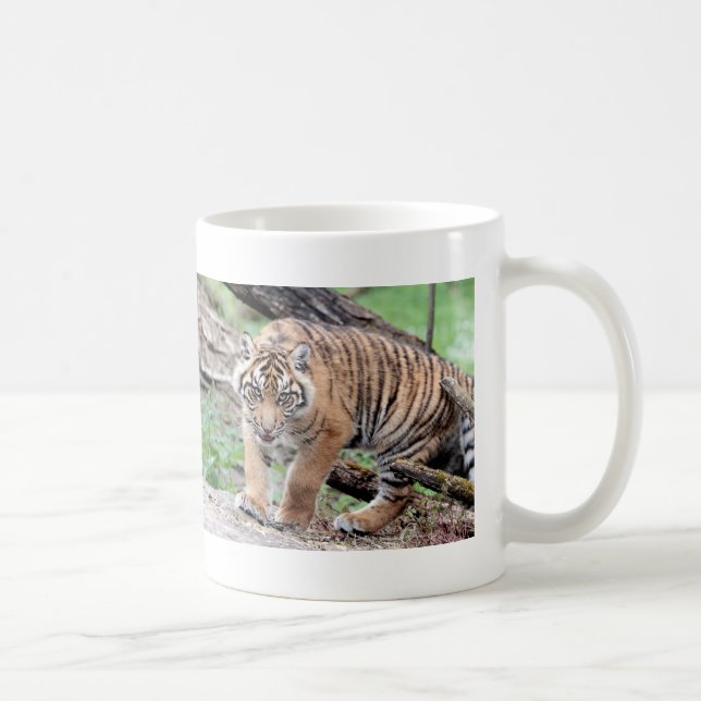 Mug. photo tiger , cat.  coffee mug (Right)
