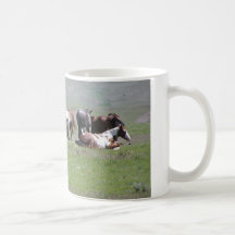 mug - Pinto Herd, South Dakota