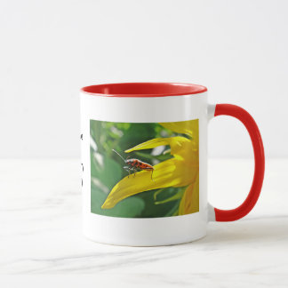 Mug red beetle on sunflower