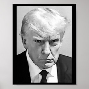 Mug Shot - Donald Trump Mug Shot Poster