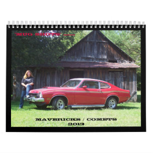 Mug Shots 2013 Calendar