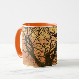 Mug Twisted Autumn Tree At Sunset