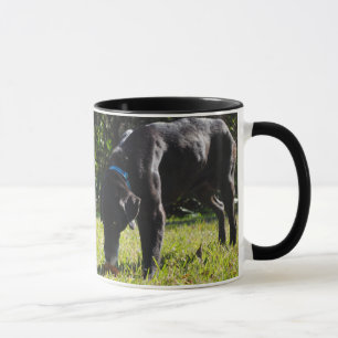 Mug Two-Image Template