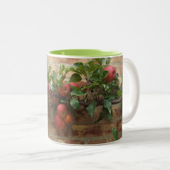 MUG WITH APPLES GROWING ON BRICK WALL ESPALIER (Front Right)