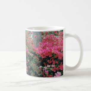 Mug with Bright Pink Azalea Blossoms