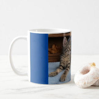 Mug with cute kitten