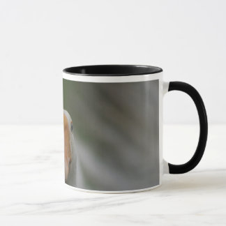 Mug with geese...