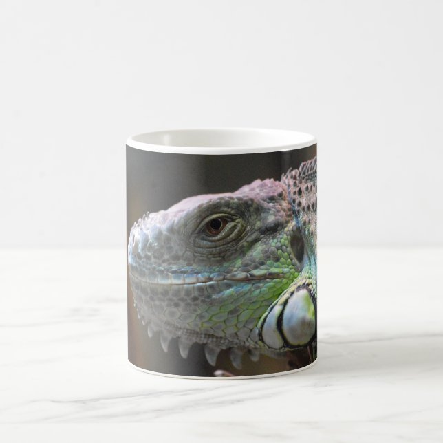 Mug with head of colourful Iguana lizard (Center)