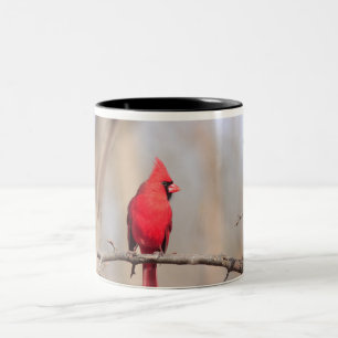 Mug with photograph of a male northern cardinal