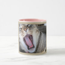 Mug with photograph of a tabby cat yawning