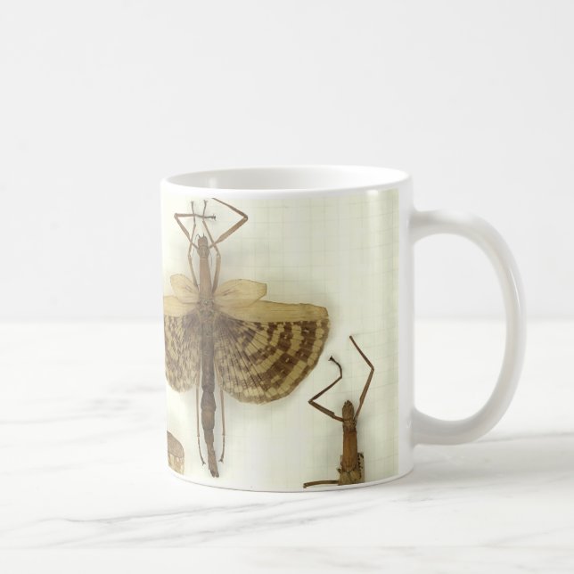 Mug with Stick insects (Right)