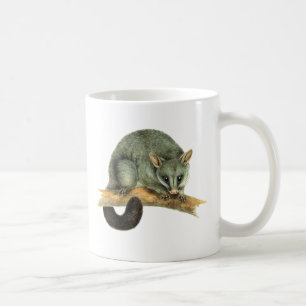 Mugs - cooroy possum
