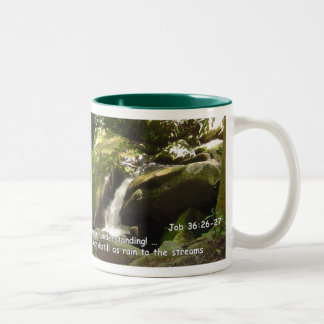 Mugs: Distilled to the Streams Two-Tone Coffee Mug