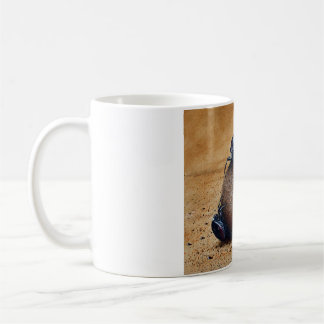 Mugs Dung Beatles