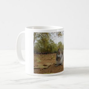Mugs Grey Squirrel Hyde Park London