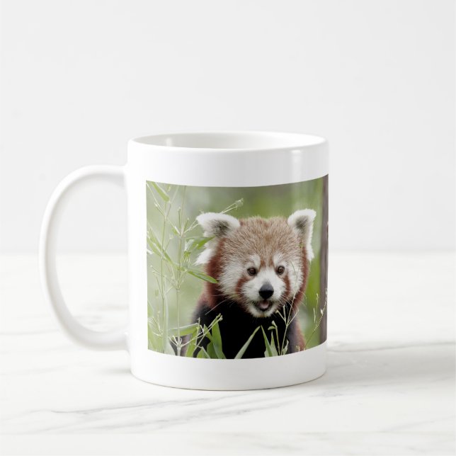Mugs photo red panda. Panda roux. animals. (Left)